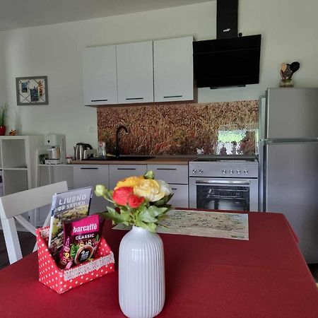 Apartmaji Ribic Ljubno Dış mekan fotoğraf