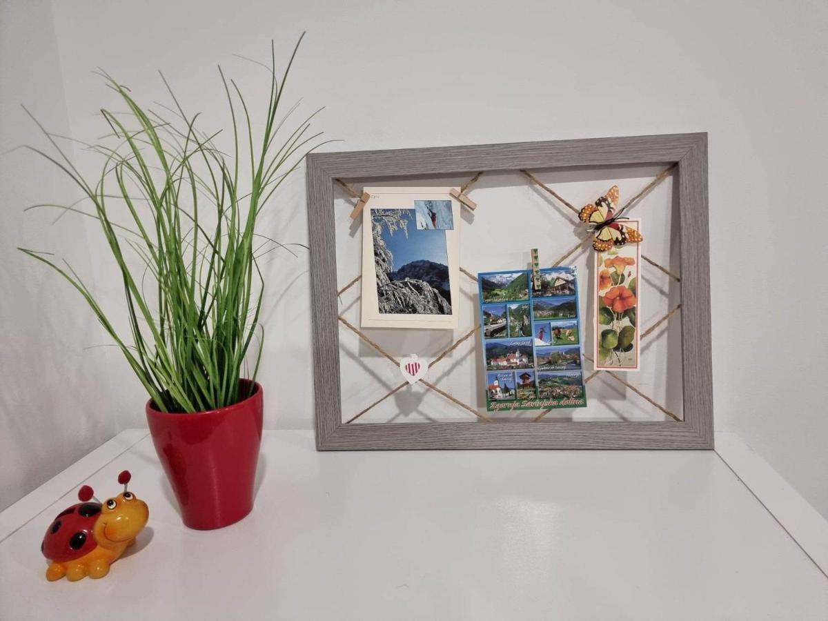 Apartmaji Ribic Ljubno Dış mekan fotoğraf