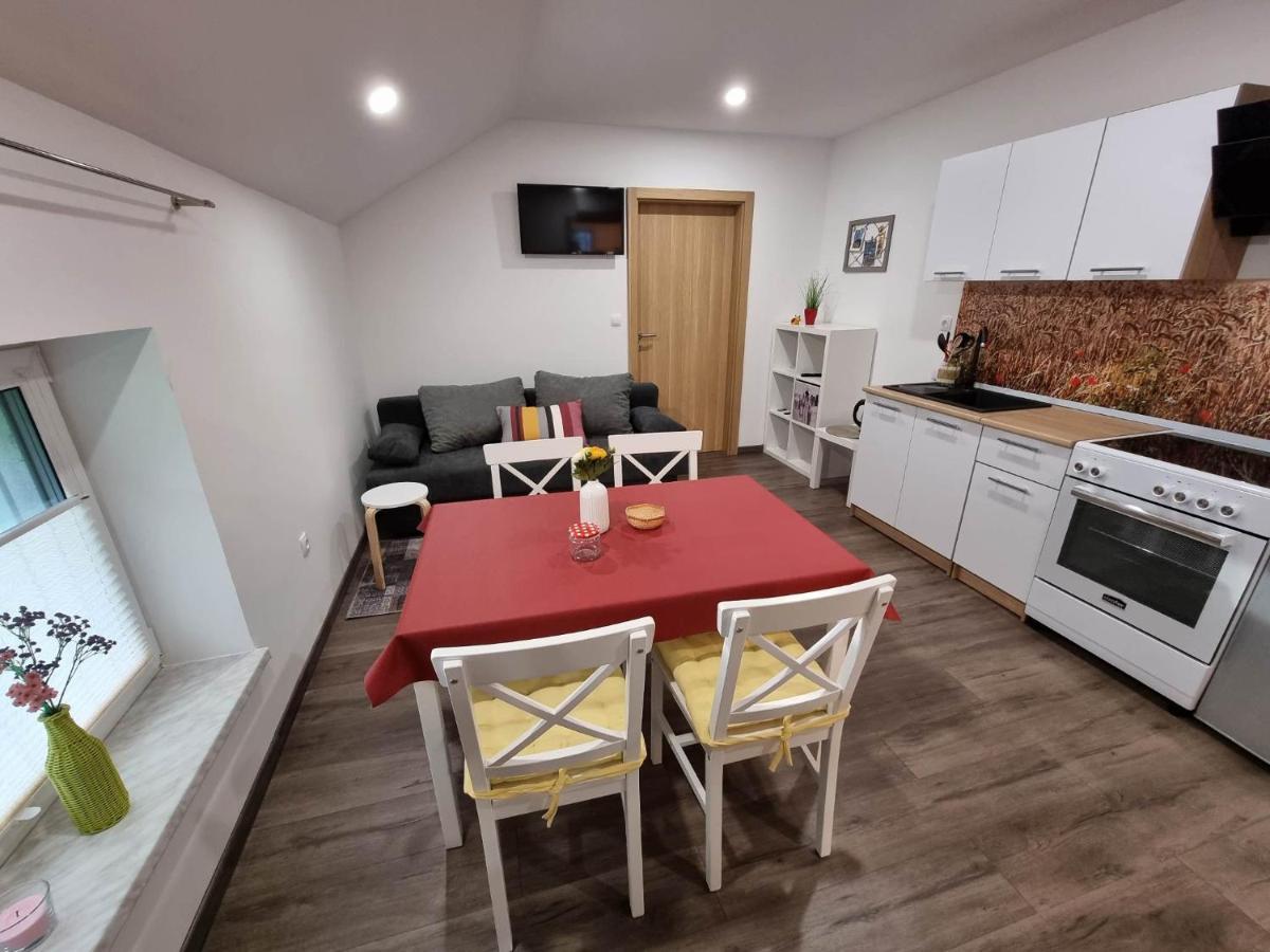 Apartmaji Ribic Ljubno Dış mekan fotoğraf