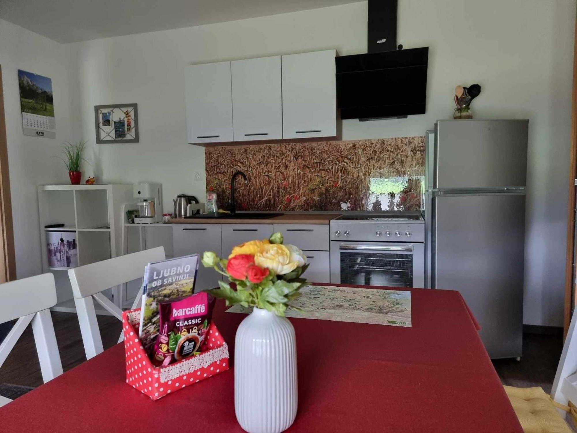 Apartmaji Ribic Ljubno Dış mekan fotoğraf