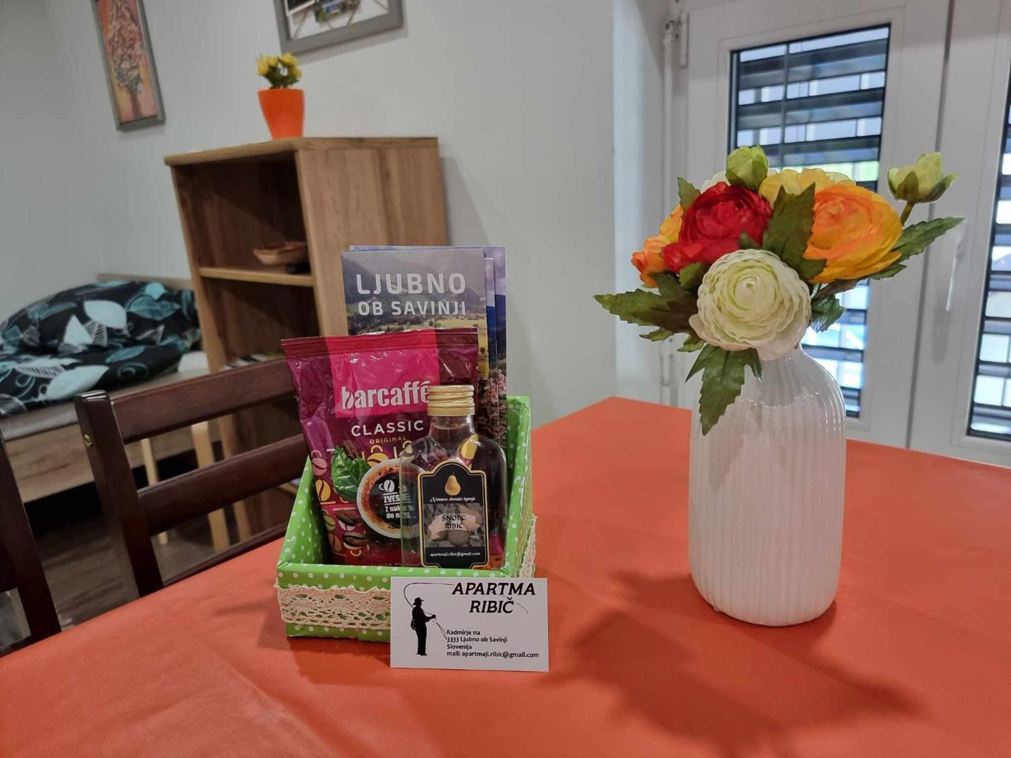 Apartmaji Ribic Ljubno Dış mekan fotoğraf
